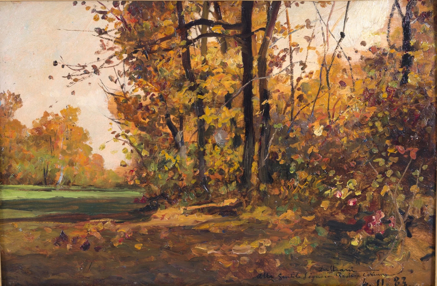 Paesaggio boschivo